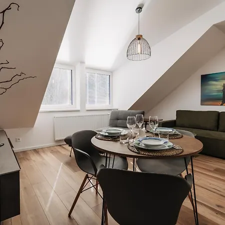 Apartman Viki - Rezidence K Lanovce Jáchymov