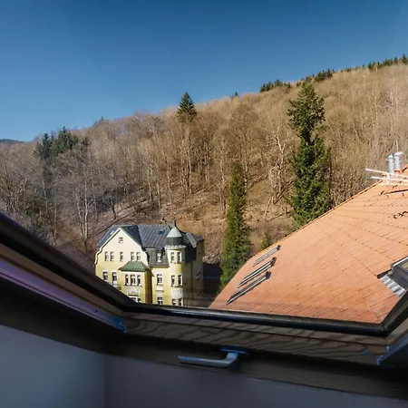 Viki - Rezidence K Lanovce Apartman Jáchymov